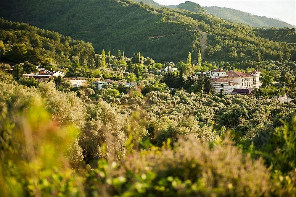 Natur-Med Hot Springs And Health Resort Davutlar Otel