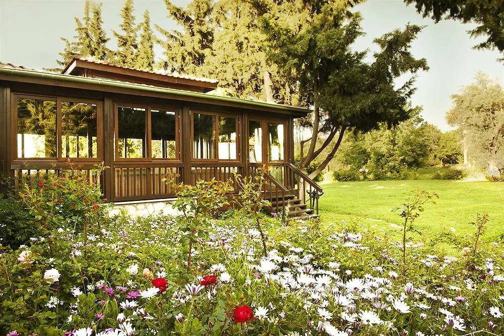 Natur-Med Hot Springs And Health Resort Davutlar Türkiye