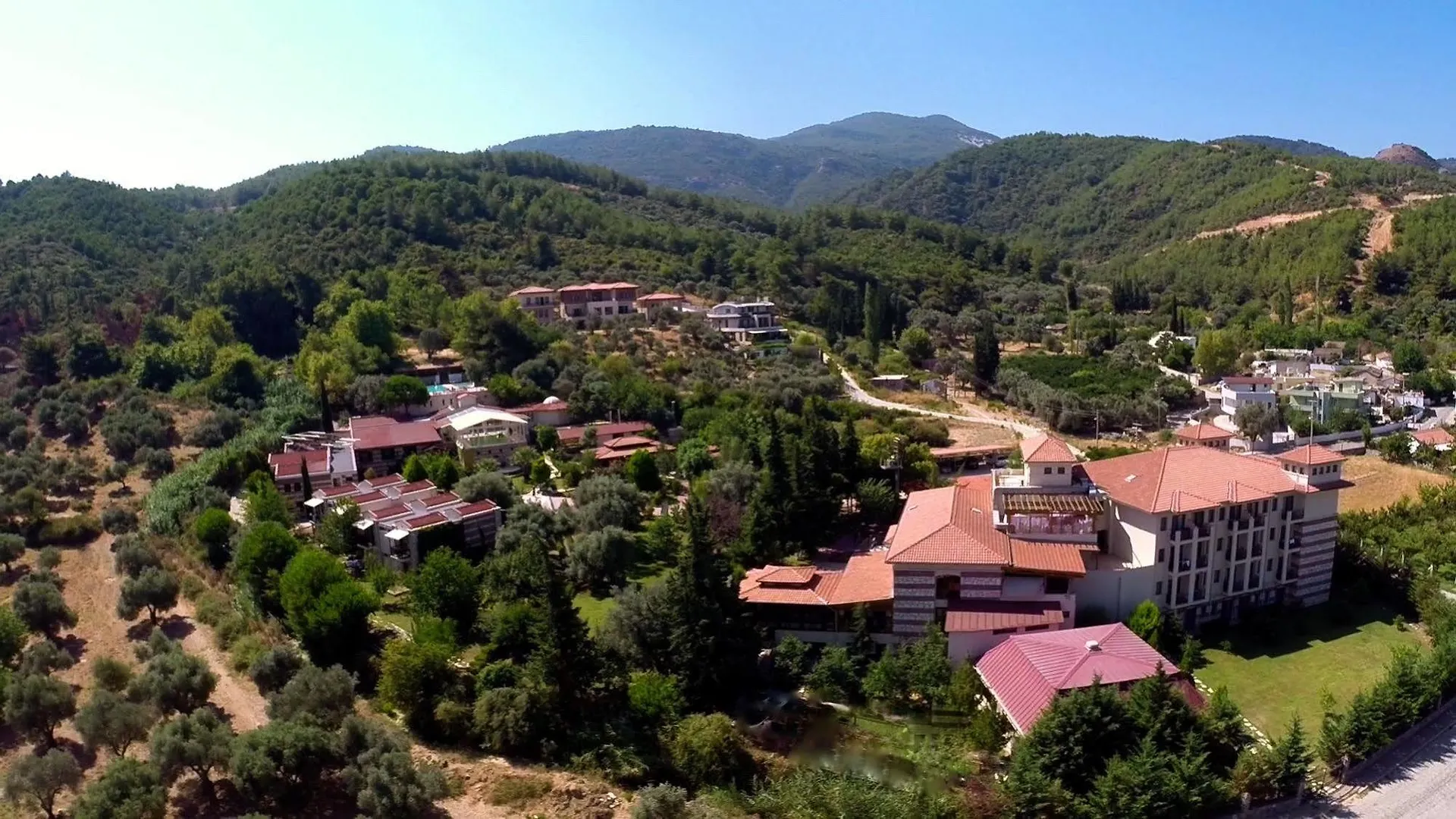 *** Otel Natur-Med Hot Springs And Health Resort Davutlar Türkiye