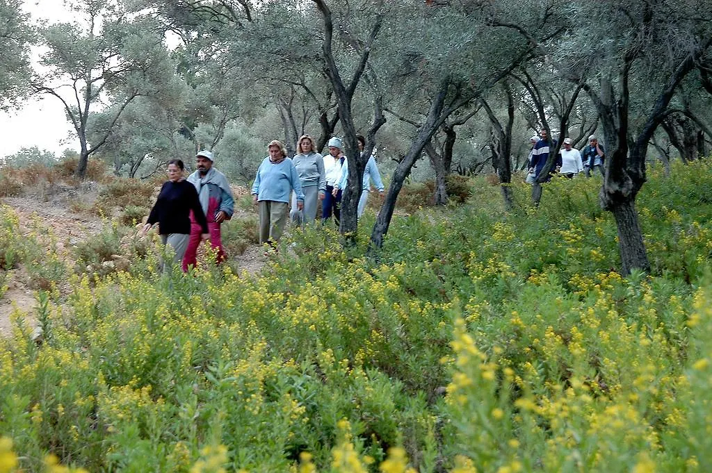 Natur-Med Hot Springs And Health Resort Davutlar Türkiye