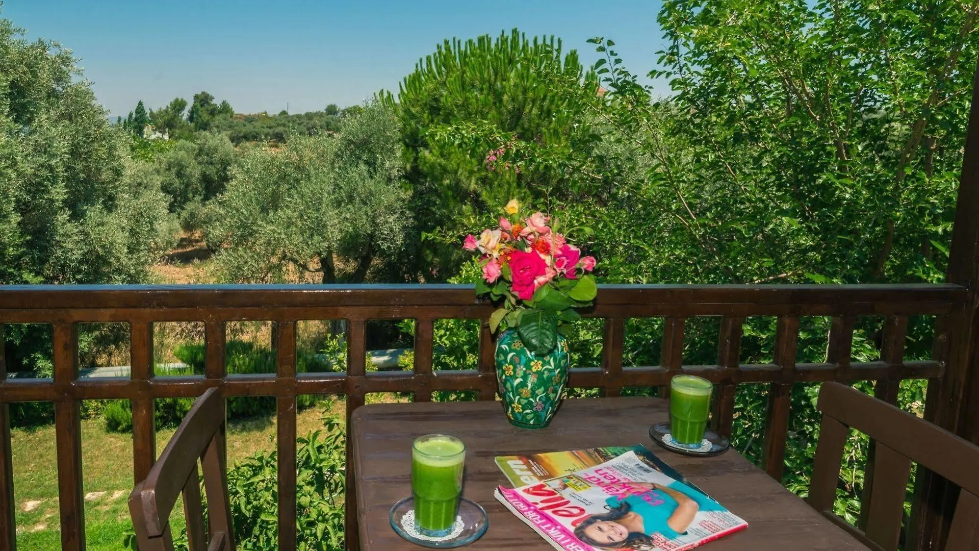 Natur-Med Hot Springs And Health Resort Davutlar Turkey